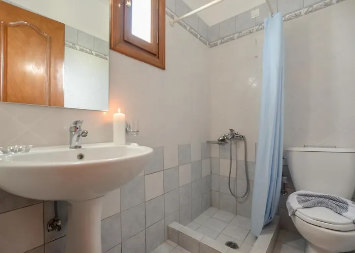 Dolphin Agia Anna (Naxos)