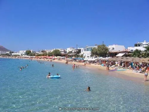 Dolphin * Agia Anna (Naxos)