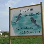Dolphin