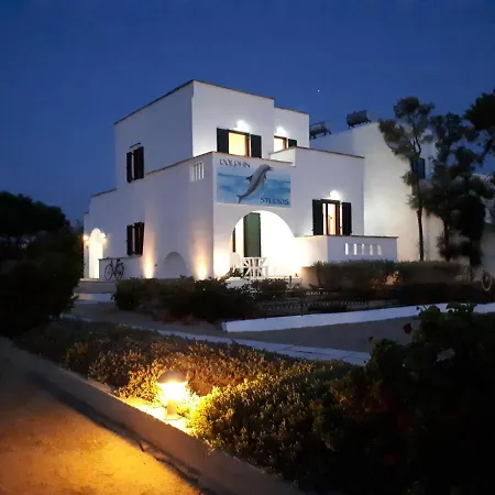 Dolphin * Αγία Άννα