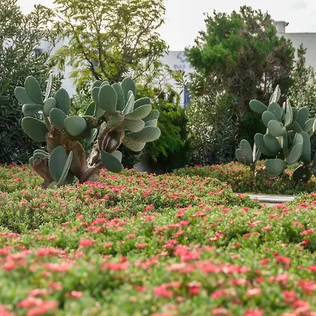 Dolphin アパート *