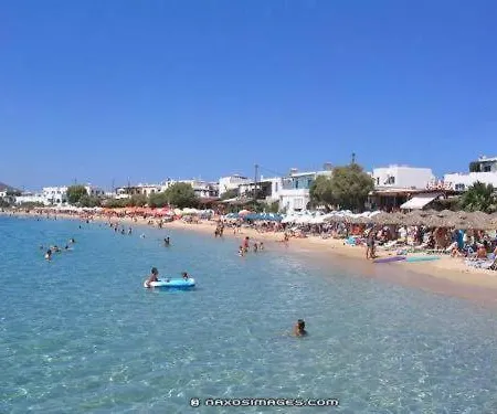 Dolphin * Αγία Άννα