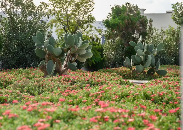 Dolphin Apartamento *