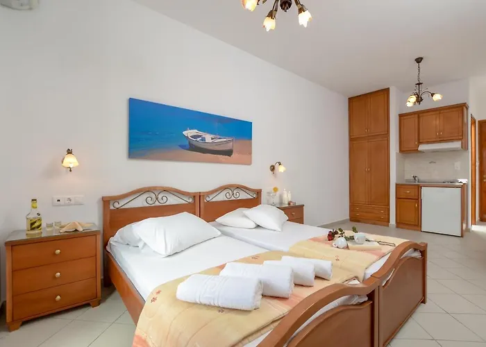 Dolphin Agia Anna (Naxos)